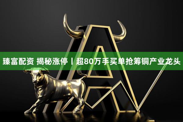 臻富配资 揭秘涨停丨超80万手买单抢筹铜产业龙头