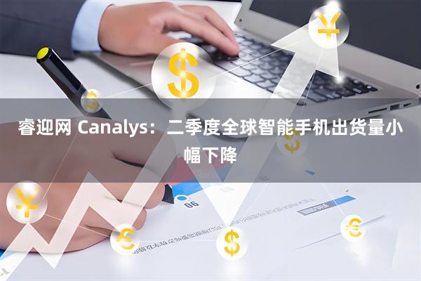 睿迎网 Canalys：二季度全球智能手机出货量小幅下降