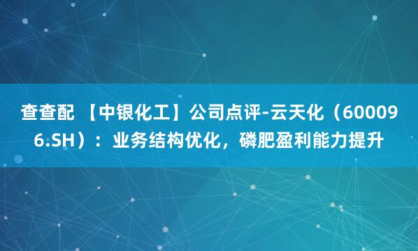 查查配 【中银化工】公司点评-云天化（600096.SH）：业务结构优化，磷肥盈利能力提升