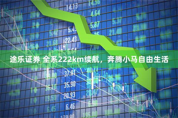 途乐证券 全系222km续航,奔腾小马自由生活