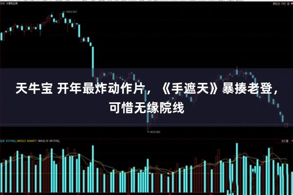天牛宝 开年最炸动作片，《手遮天》暴揍老登，可惜无缘院线